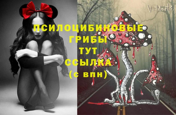 марки nbome Богородицк