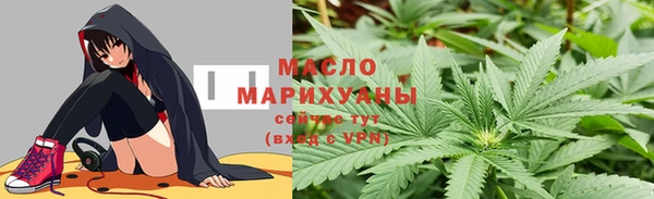 индика Богданович