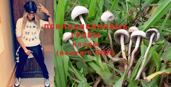 индика Богданович