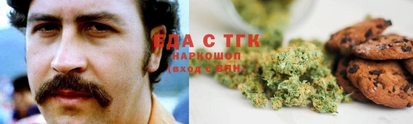 индика Богданович