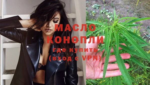 индика Богданович