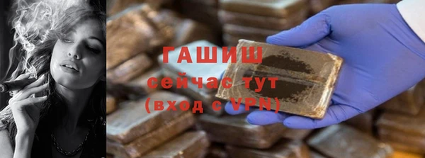 индика Богданович