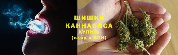 индика Богданович