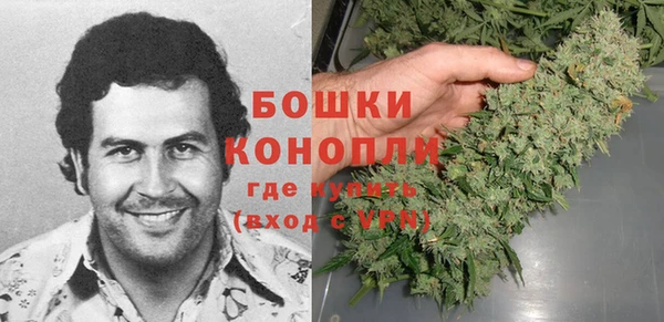 индика Богданович