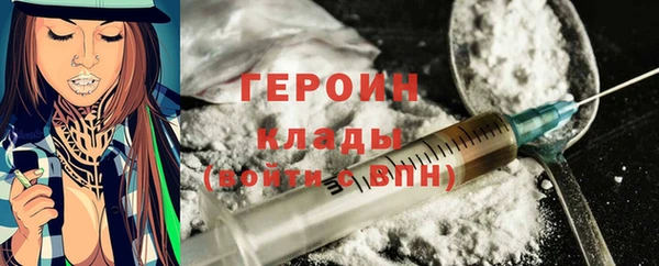 индика Богданович
