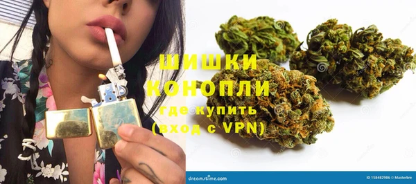индика Богданович