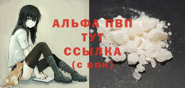 индика Богданович