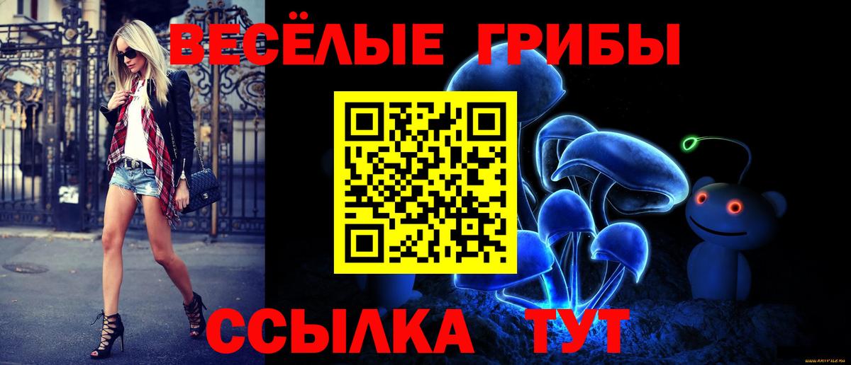 Северск  Псилоцибиновые грибы MAGIC MUSHROOMS  Псилоцибиновые грибы MAGIC MUSHROOMS  Вход с VPN 