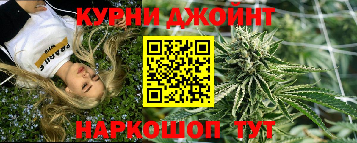 Конопля планчик Северск